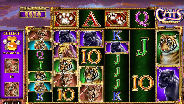 Cats Megaways