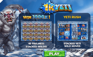 1K Yeti