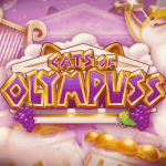 Cats of Olympuss